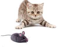 HEXBUG Mouse Cat Toy GREY&WHITE