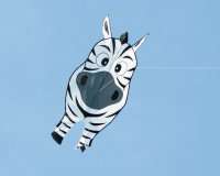 Buddy Stripe Zebra