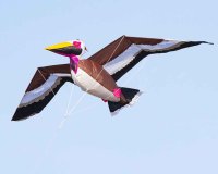 HQ 3D Kite Pelican