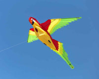 HQ 3D Kite Parrot