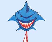 Buddy Shark Blue