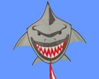 Buddy Shark Grey