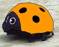 CiM BeachBouncer Ladybug Orange M