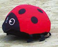 CiM BeachBouncer Ladybug Red M