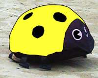 CiM BeachBouncer Ladybug Yellow M