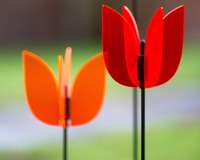 Light Catcher 3D Tulip