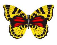 MiniMylar Kite Butterfly Yellow