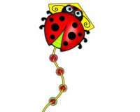 SkyDelight Ladybug