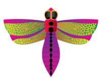 MiniMicro Kite Dragonfly