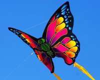 MiniNylon Kite Butterfly