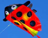 MiniNylon Kite Ladybug