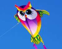 MiniNylon Kite Owl