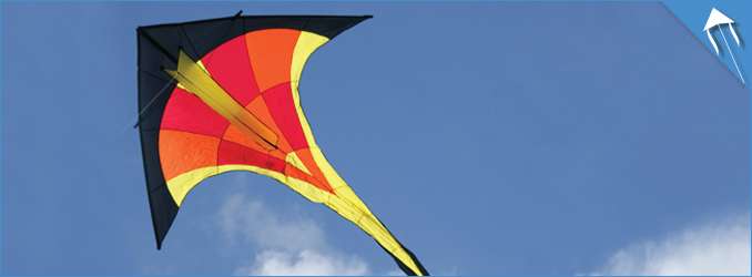 familie Higgins Blootstellen Festival vlieger kopen? | Schitterende vliegers van Premier Kites.