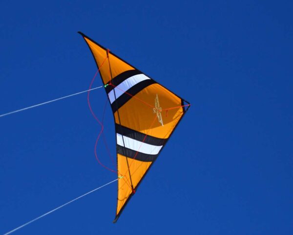 Speedwing X1 – Klassischer Power-Lenkdrachen – Bild 19