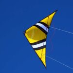 Speedwing X1 – Klassischer Power-Lenkdrachen – Bild 4