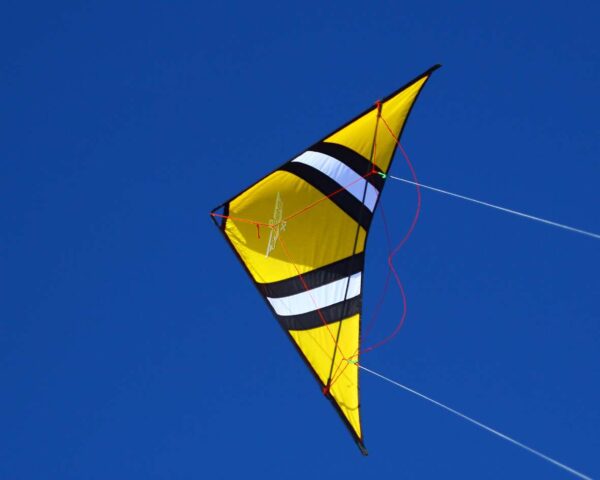 Speedwing X1 – Klassischer Power-Lenkdrachen – Bild 4