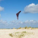 HQ Whiz | Geschwindigkeit und Kraft – Bild 5