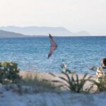 HQ Whiz | Geschwindigkeit und Kraft – Bild 6