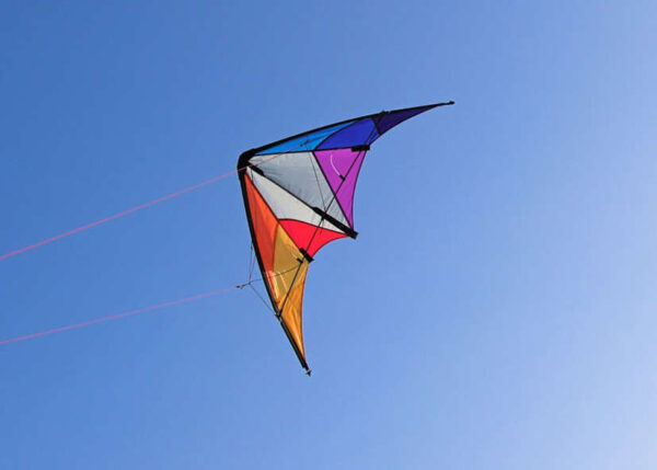 HQ Calypso II Regenbogen | Rundum – Bild 6