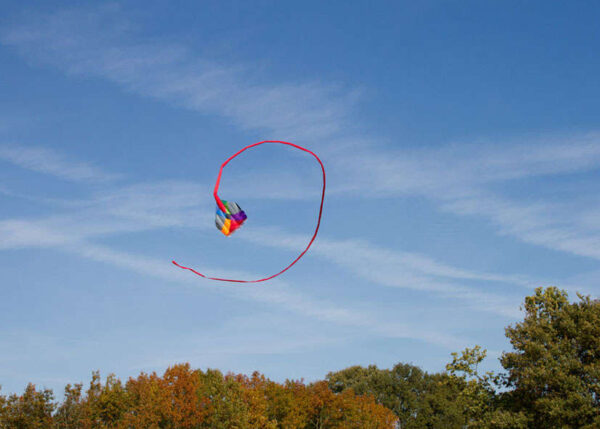 HQ Multi Kite | Lenkdrachen & 1-Leiner | Zwei in einem – Bild 5