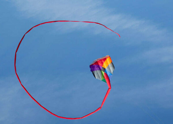 HQ Multi Kite | Lenkdrachen & 1-Leiner | Zwei in einem – Bild 4
