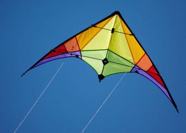 HQ Eco Rookie Rainbow – Bild 2