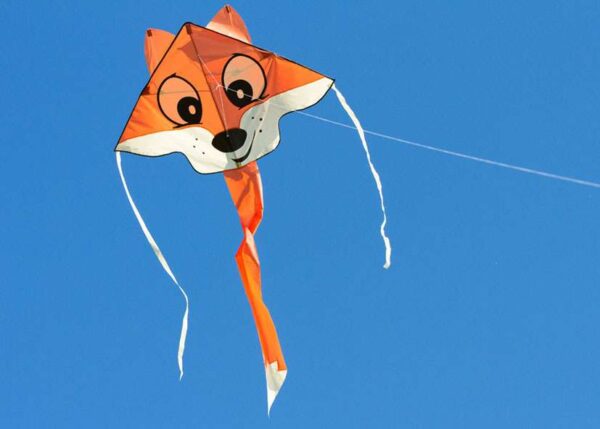 HQ Eco Simple Flyer 120 Fox – Bild 3