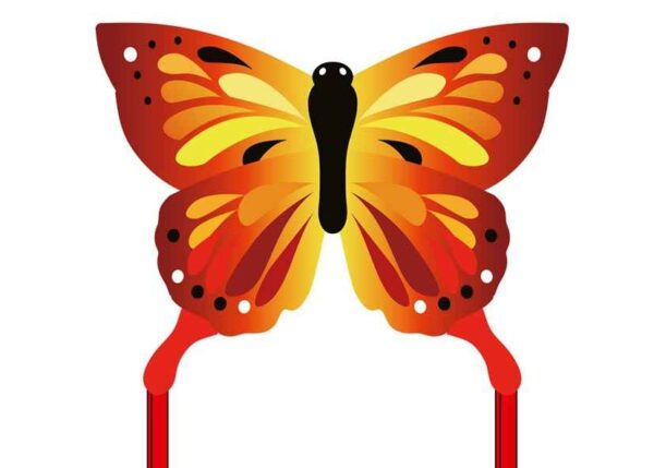 HQ Eco Butterfly Sunrise – Bild 3