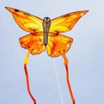HQ Eco Butterfly Sunrise – Bild 2