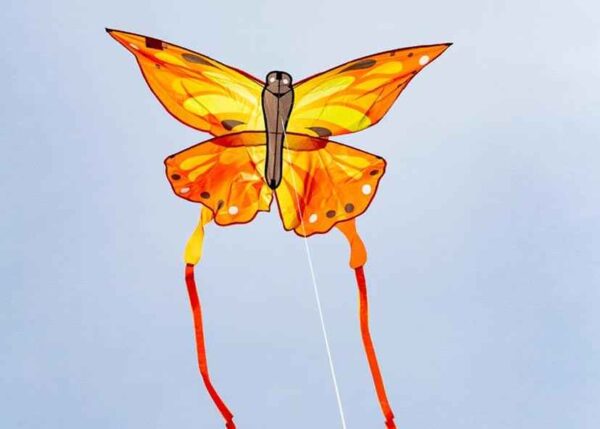HQ Eco Butterfly Sunrise – Bild 2