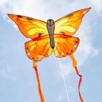 HQ Eco Butterfly Sunrise