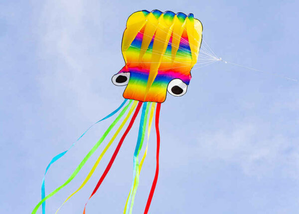 Parafoil-Regenbogen-Oktopus – Bild 2