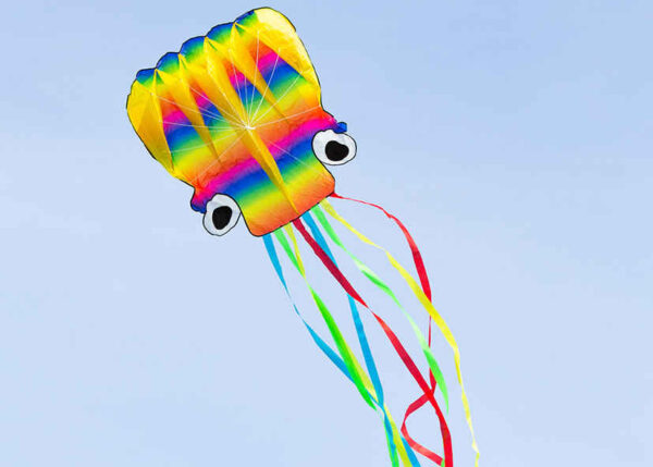 Parafoil Rainbow Octopus L – Bild 2