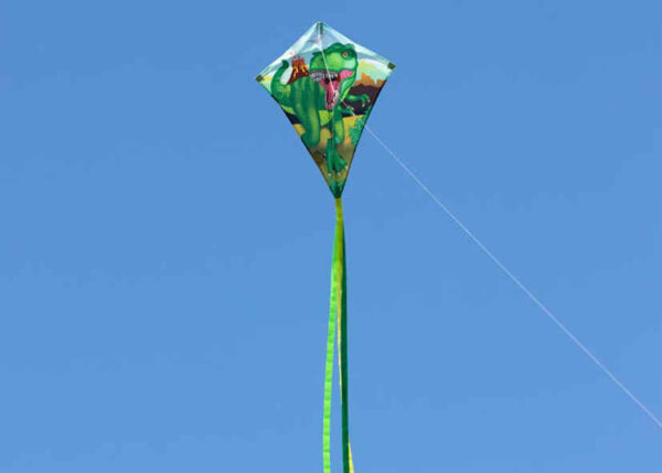 HQ Eco Eddy 70 T-Rex – Bild 2
