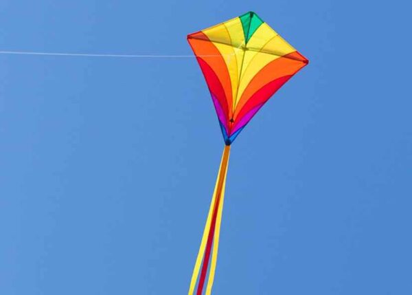 HQ EDDY Regenbogen – Bild 2