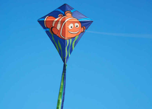 HQ EDDY Clownfisch – Bild 2