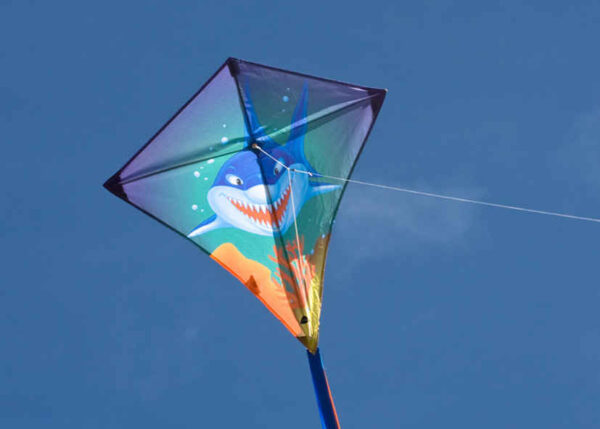 HQ EDDY Sharky – Bild 4
