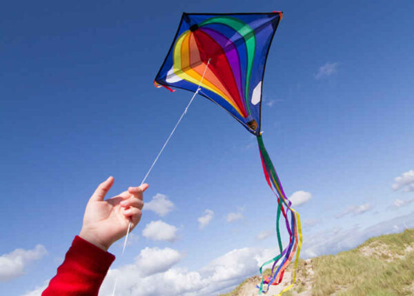 HQ EDDY Hot Air Balloon - Afbeelding 2