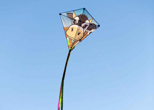 HQ EDDY Cow - Afbeelding 3