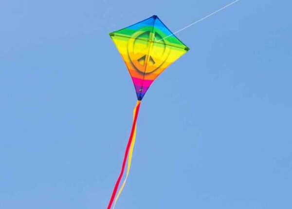 HQ EDDY Regenbogenfrieden – Bild 3