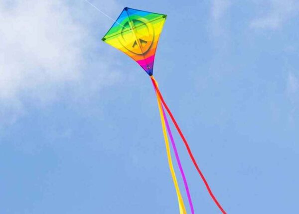 HQ EDDY Regenbogenfrieden – Bild 2