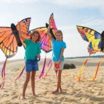 HQ Butterfly Swallowtail L – Bild 6