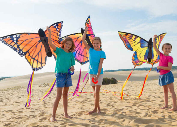 HQ Butterfly Ruby L – Bild 6