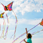 HQ Butterfly Swallowtail L – Bild 7