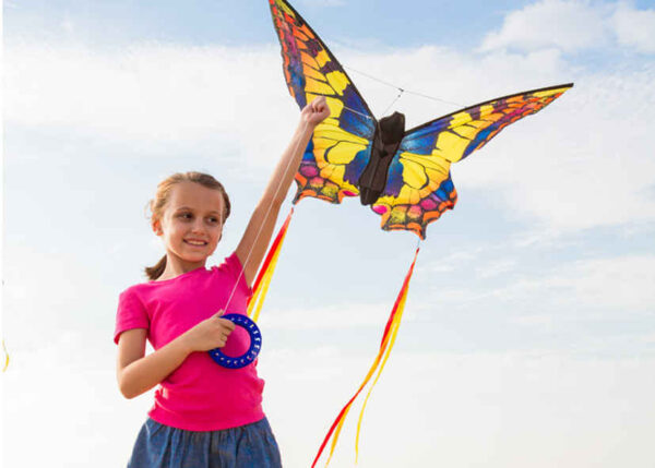 HQ Butterfly SwallowTail L - Afbeelding 5