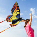 HQ Butterfly Swallowtail L – Bild 2
