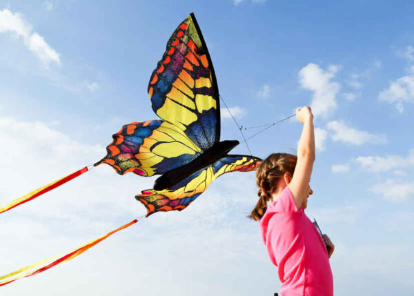 HQ Butterfly SwallowTail L - Afbeelding 2