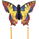 HQ Butterfly Swallowtail L