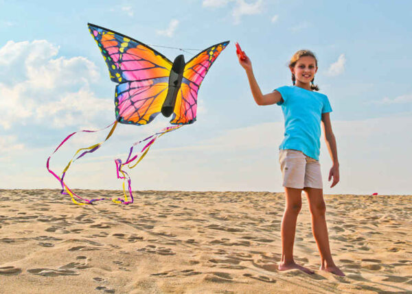HQ Butterfly Ruby L – Bild 5