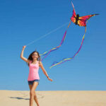 HQ Butterfly Ruby L – Bild 2